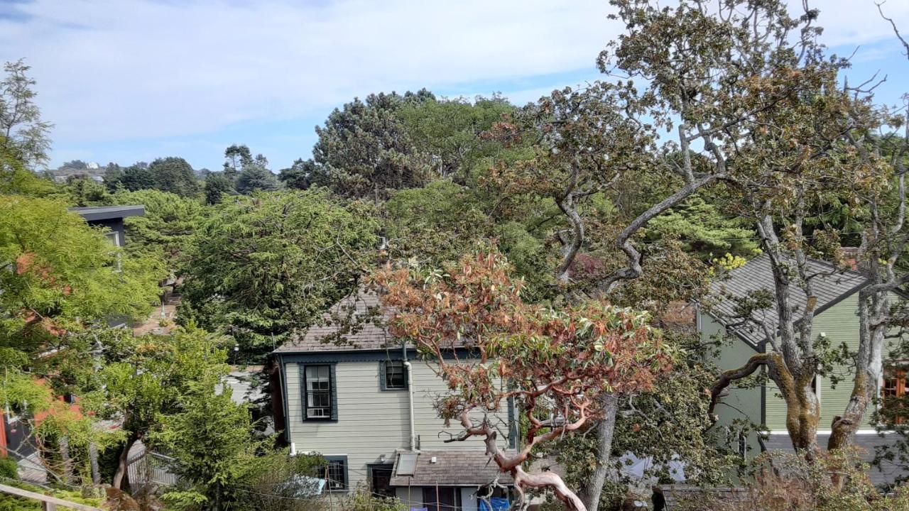 Sea Birds Cottage Victoria Exterior photo